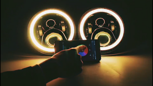 RGB Terminator Series (7 INCH)